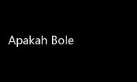 Apakah Boleh Ziarah Kubur Saat Idul Fitri? Ini Hukumnya