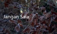 Jangan Salah Pilih, Ini Cara Membedakan Kurma Asli dan Palsu